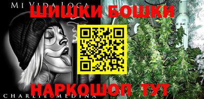бошки Славгород