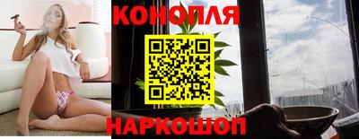 бошки Славгород