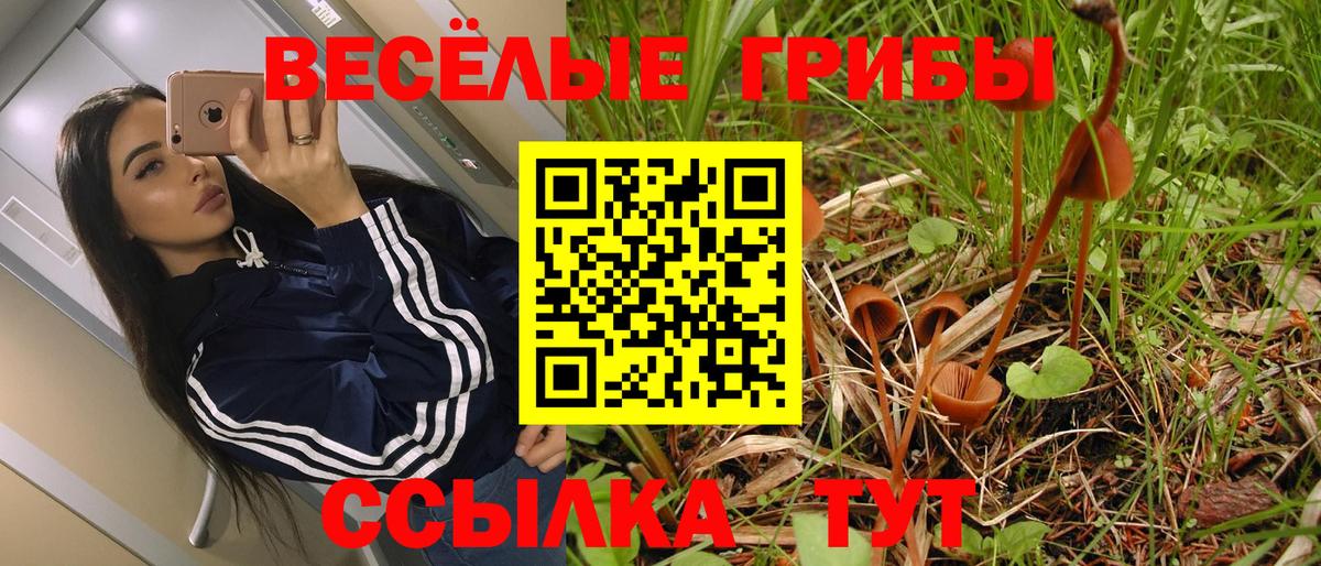 Псилоцибиновые грибы Cubensis Нягань