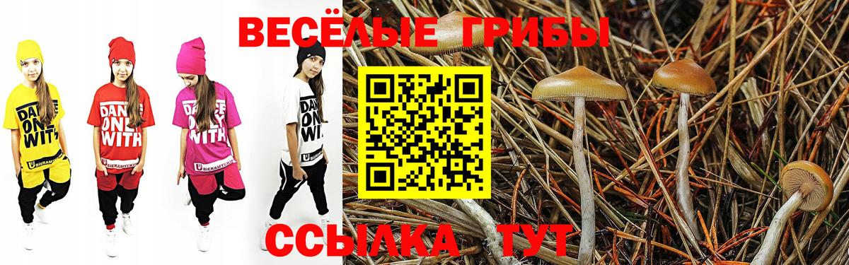 Галлюциногенные грибы GOLDEN TEACHER  Вход с VPN  Галлюциногенные грибы MAGIC MUSHROOMS  Нягань 